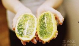 水果刺角瓜怎么吃,探索美味与营养的完美结合