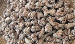 吃土瓜可以吃三七吗女生,女性养生新选择