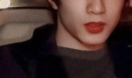 吃瓜罗伯特时代峰峻,峰峻风云录