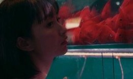 85后的少女吃瓜,揭秘娱乐圈那些事儿