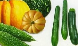 红中吃瓜,揭秘网络热点的背后真相