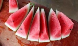 长沙吃瓜群众俱乐部,揭秘城市生活趣味圈