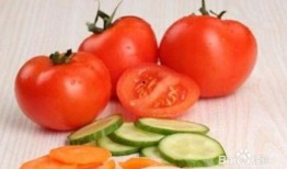 番茄吃瓜视频,一场别开生面的美食盛宴