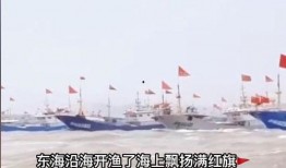 浙江吃瓜船,探寻“吃瓜船”的独特风味