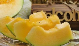 医生哈密瓜可以吃,哈密瓜，夏季清凉解暑的佳品