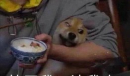 带你吃瓜大魔头,带你吃瓜大魔头的神秘世界