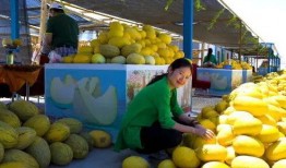 瓜州去哪吃,探寻当地特色风味指南