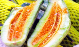 莱州最新吃瓜,揭秘背后惊人真相