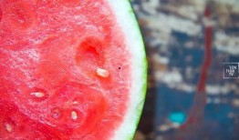 朝堂吃瓜4,揭秘宫廷背后的吃瓜故事