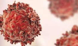 天天吃角瓜容易得癌吗,真相揭秘