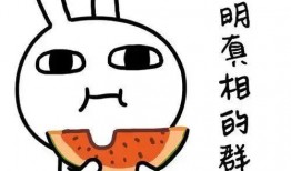 吃瓜蒙主血统,探寻瓜界传奇背后的家族传承