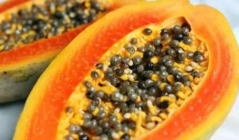 前排吃瓜小能手,揭秘娱乐圈幕后风云