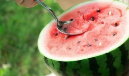 5点有瓜吃,揭秘日常生活中的小确幸