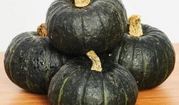 宝宝吃板粟瓜好吗