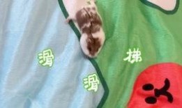 旺仔吃谷瓜,欢乐童年再现