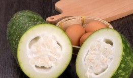 宝宝吃沙白瓜,营养丰富的沙白瓜食谱分享