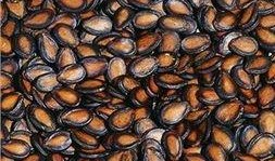 爱嗑瓜子吃瓜,爱嗑瓜子吃瓜的欢乐时光