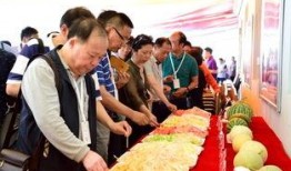 华亭吃瓜群众,揭秘当地热点事件背后的故事