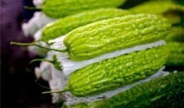 蕉瓜孕妇可以吃吗,安全与营养两不误