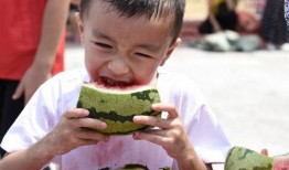 吃瓜父责任,揭秘网络舆论背后的家庭伦理与道德困境