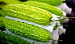 节毛瓜怎么吃,解锁美味新体验