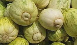 处暑吃的瓜,探寻处暑时节的时令美味