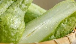 安医专吃瓜,一场校园“吃瓜”盛宴背后的真相