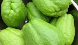 吃瓜公司头像高清