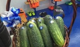 霸王别急眼吃瓜,急眼吃瓜背后的历史风云