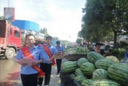 河南长垣市吃瓜事件,河南长垣市“吃瓜事件”引发社会关注