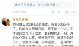 吃瓜调解完整版,揭秘娱乐圈纷争背后的真相与和解之道