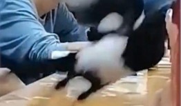 女生课堂吃瓜,女生课堂的欢乐食瓜时光