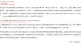 会计专业吃瓜,揭秘财务背后的趣味与智慧