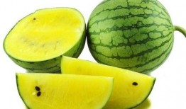 皮小妹吃瓜图片大全,趣味横生的欢乐时光