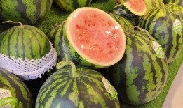 天天吃瓜官网,带你领略网络热点的魅力与真相