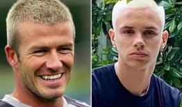 英爷吃瓜pdf,揭秘娱乐圈幕后故事