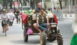 吃瓜群众 卖瓜贩子,吃瓜群众与卖瓜贩子的市井传奇