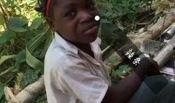 小胖闯非洲吃瓜,一场别开生面的吃瓜之旅