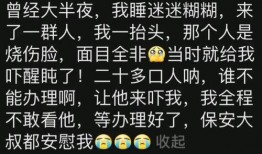 酒店前台吃瓜故事,酒店前台那些不为人知的“吃瓜”故事