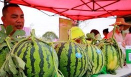 华亭吃瓜群众,揭秘当地热点事件背后的故事