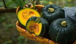 板栗瓜不甜怎么吃