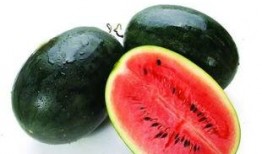 广东小蓝瓜怎么吃,广东小蓝瓜的多样食法探索