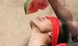 看瓜吃西瓜大全,揭秘娱乐圈幕后故事与趣味瞬间