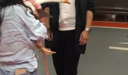 保剑锋在线吃瓜,揭秘娱乐圈幕后风云