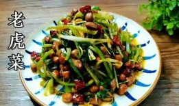 吃瓜老虎菜系列,探寻美食背后的故事与传奇