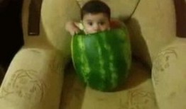 吃瓜群众笑话图片