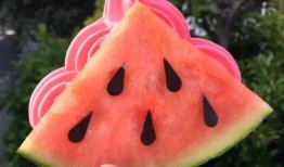 洛杉矶网红吃瓜,揭秘网红们的“吃瓜”日常