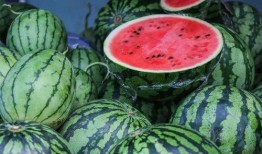 吃瓜季节又到了,盘点那些年我们一起“瓜”过的精彩瞬间