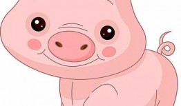 我吃瓜小猪的瓜