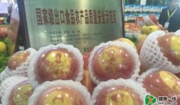 三白瓜能和苹果一起吃吗,三白瓜与苹果同食的适宜性探讨